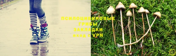 экстази Баксан